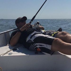 Meet your Posher, Joe